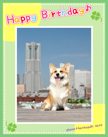 レオンくん、翁丸くん、お誕生日おめでとう♪_d0102523_1304630.jpg