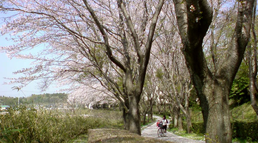 f0128723_1545715.jpg