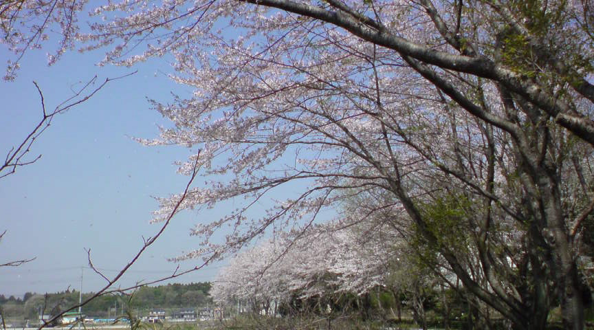 f0128723_1571996.jpg