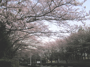 f0128723_2305612.jpg