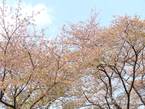 d0002224_2282782.gif