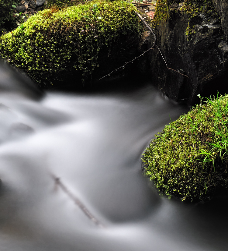 Brook of the spring 4_c0126428_2110393.jpg