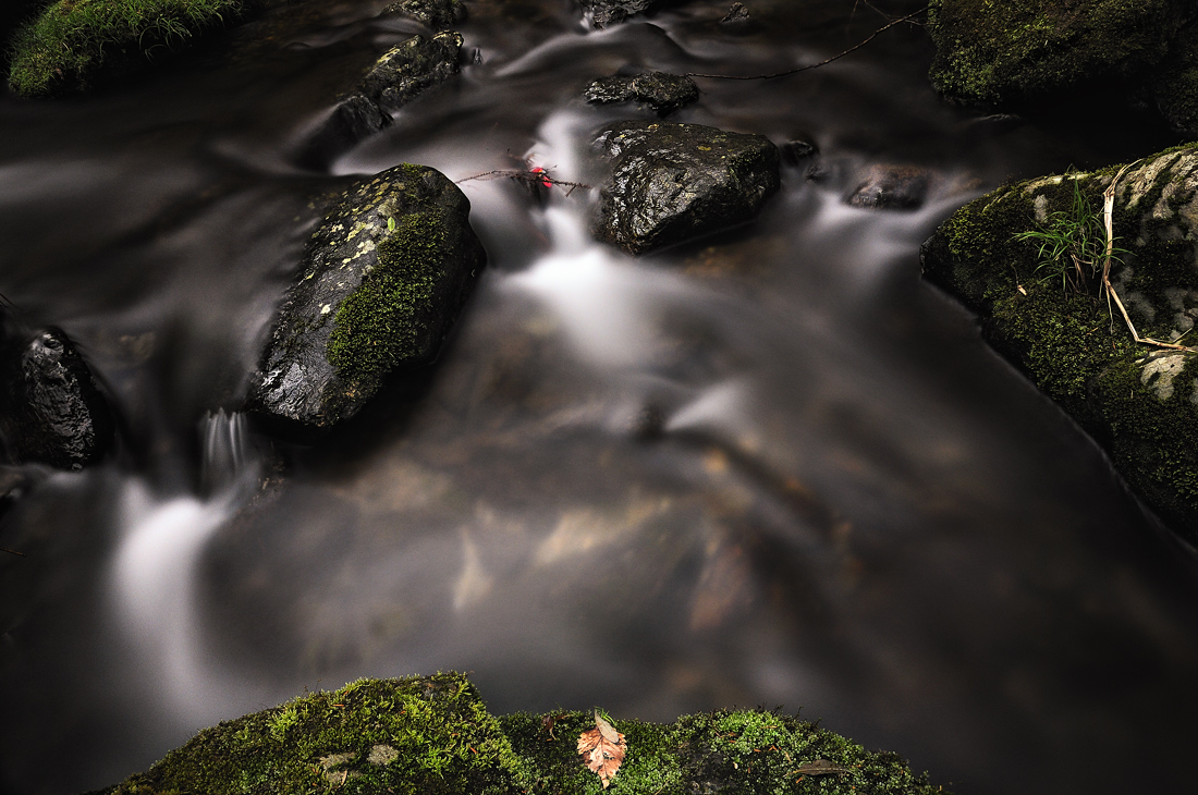 Brook of the spring 4_c0126428_2110424.jpg