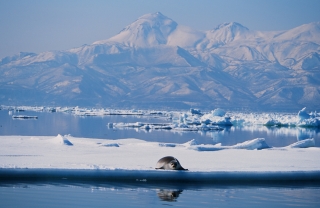 f0053130_22204947.jpg