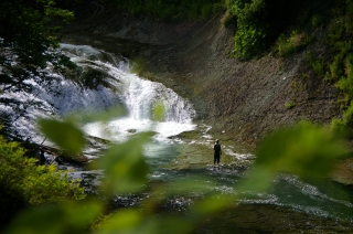 f0053130_22205313.jpg