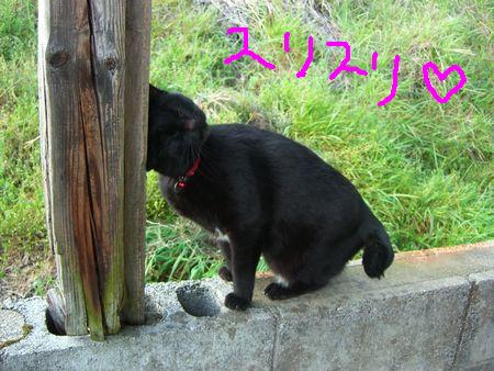 催促それぞれ_a0099131_18162861.jpg