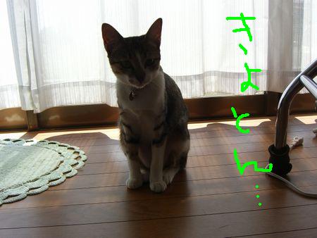 催促それぞれ_a0099131_18171082.jpg