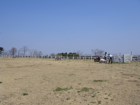 c0117831_22759100.jpg