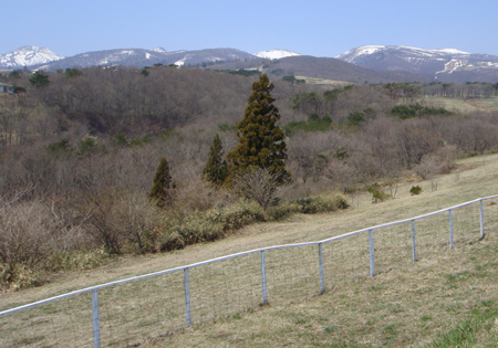 c0117831_229599.jpg