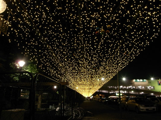 c0182231_1615738.jpg