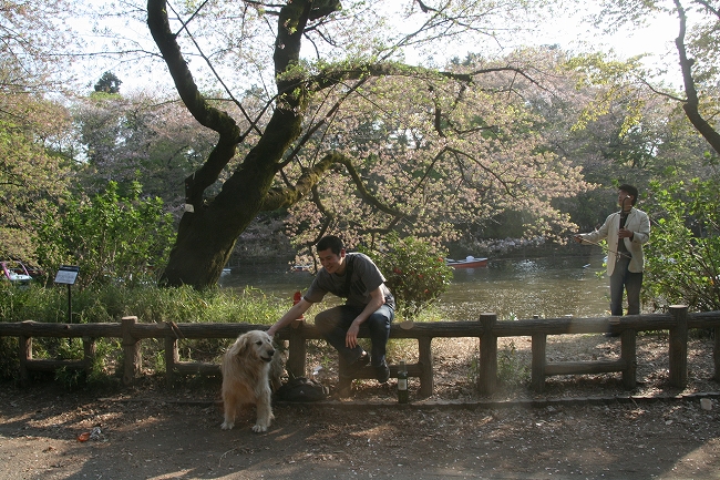 Inokashira Park_c0035836_2041977.jpg