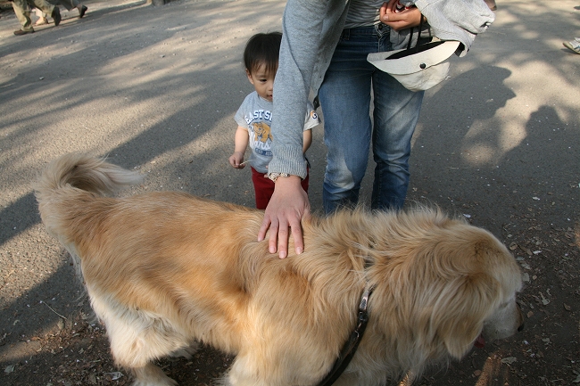 Inokashira Park_c0035836_2043399.jpg