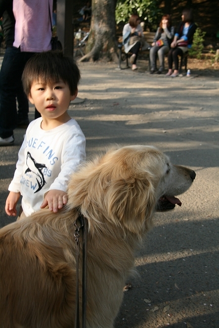 Inokashira Park_c0035836_2044882.jpg