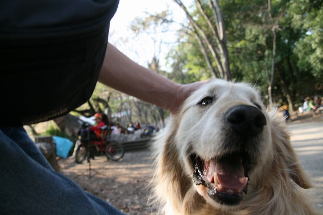 Inokashira Park_c0035836_20463337.jpg