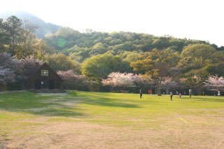 d0055236_15514644.jpg