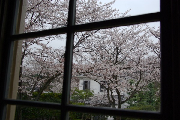 少し早い桜と明治の建物_f0032137_2343030.jpg