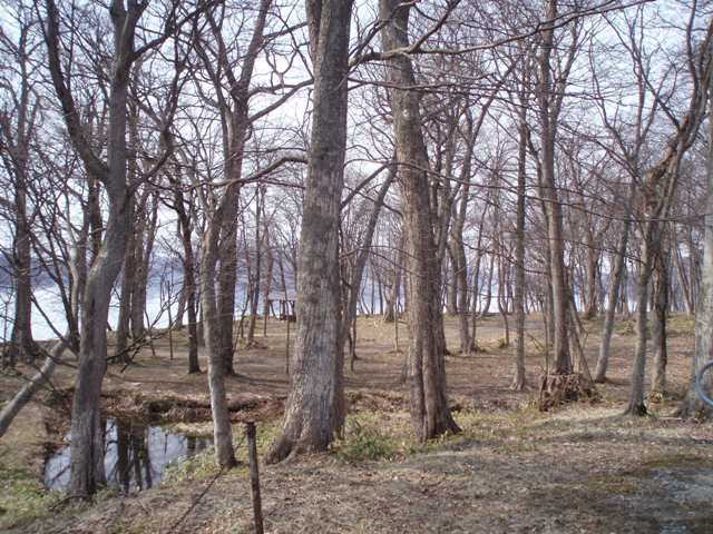 c0105338_17281180.jpg