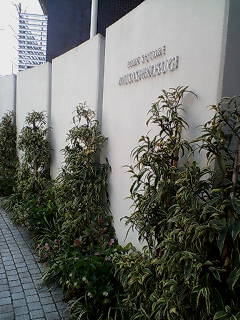 b0024439_7533896.jpg