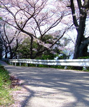 b0149340_16231479.jpg