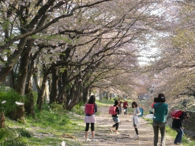 c0152341_2314846.jpg