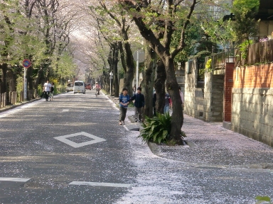 c0152341_23165187.jpg