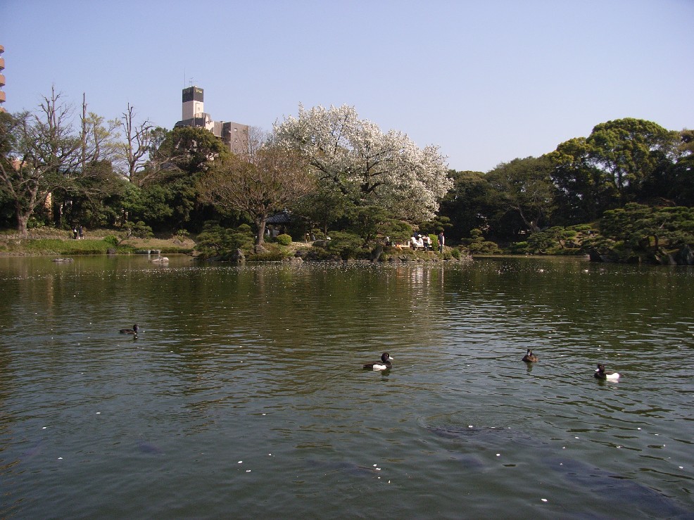 b0169343_09547.jpg