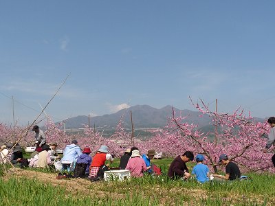 新府桃の里ウォーク♪_f0019247_236917.jpg