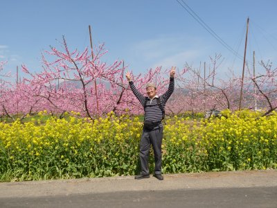 新府桃の里ウォーク♪_f0019247_237559.jpg