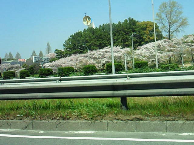 f0123149_67182.jpg