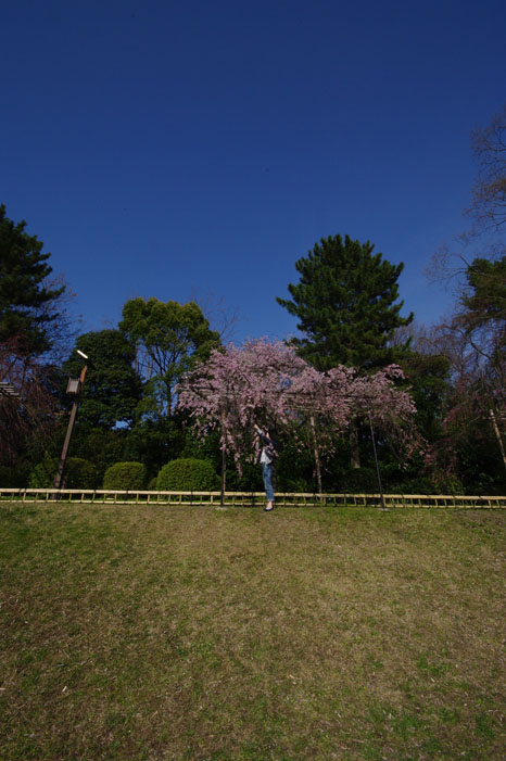 f0152550_19292072.jpg