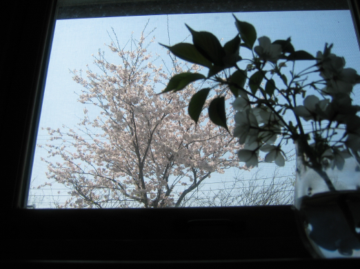 b0072051_1233119.jpg