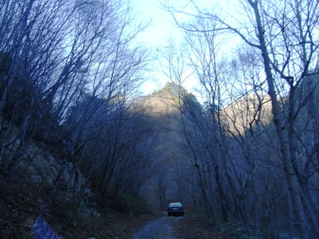 昨年、１１月のこと！岩泉へ「山わさび」を採りに_b0096052_1625283.jpg