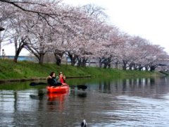 福岡堰　花見カヌー_e0020752_1136324.jpg