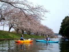 福岡堰　花見カヌー_e0020752_1141416.jpg