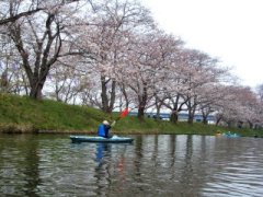 福岡堰　花見カヌー_e0020752_11414473.jpg