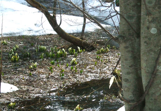 c0097856_22332640.jpg
