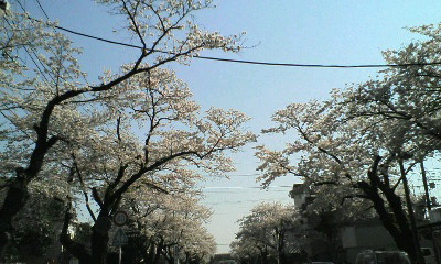 f0027759_0255564.jpg