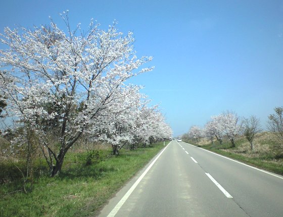 a0029960_23352463.jpg