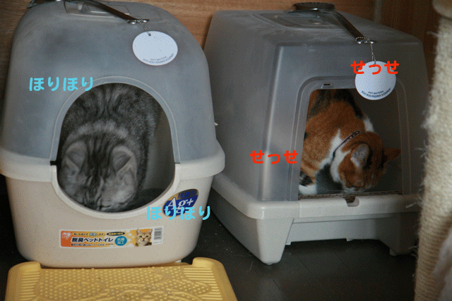 e0158561_17595263.gif