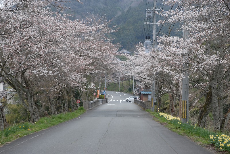 ■090404両橋と0411昭和橋_b0010162_21365231.jpg