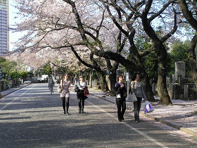 桜吹雪_b0145863_0315650.jpg