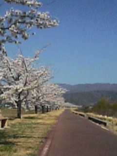 長野県伊那city~高遠より・・・編~_c0162963_210108.jpg