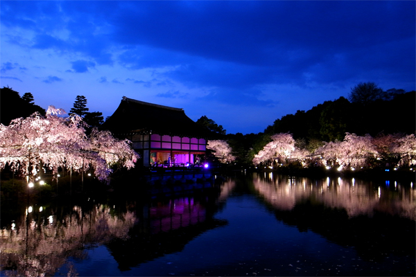 平安神宮 紅しだれコンサート お散歩日和 ー京都の風ー