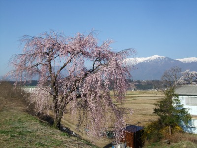 b0117564_222454100.jpg