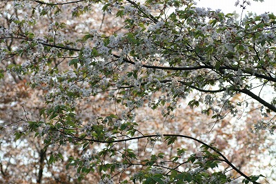 a0091865_21204373.jpg