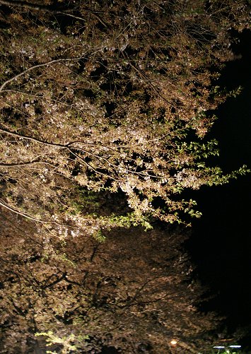 a0039366_21171036.jpg