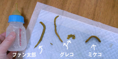 a0064067_16252283.jpg