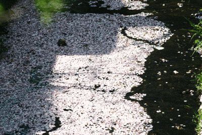 b0120968_20262932.gif