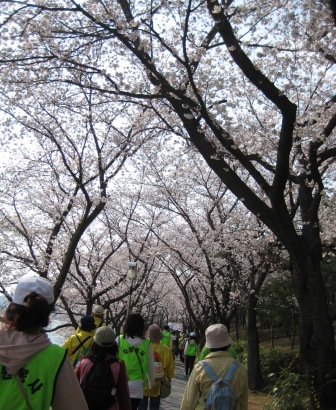 c0086768_03614.jpg