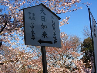 e0160568_16564158.jpg